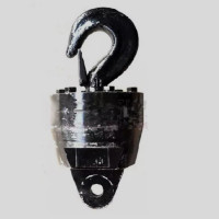 Turgen degeenii degee product image 22